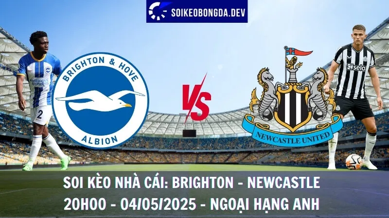 Soi Kèo Nhà Cái Brighton vs Newcastle - 04/05/2025 - Ngoại Hạng Anh 6 Soi Kèo Nhà Cái Brighton vs Newcastle - 04/05/2025 - Ngoại Hạng Anh